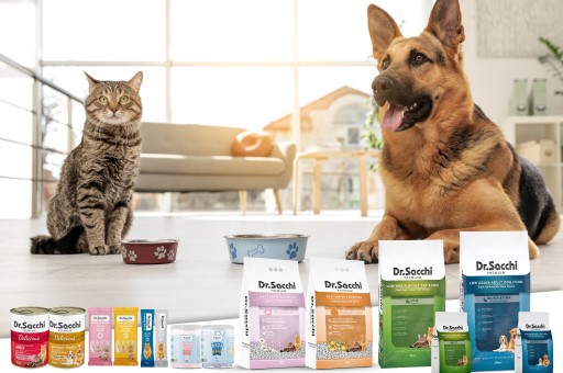 Tazeliği ile Fark Yaratan Mama: Dr. Sacchi