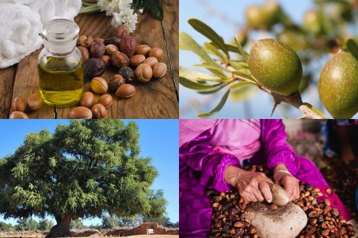 DOĞANIN ŞİFALI DOKUNUŞU: ARGAN YAĞININ MUCİZESİ