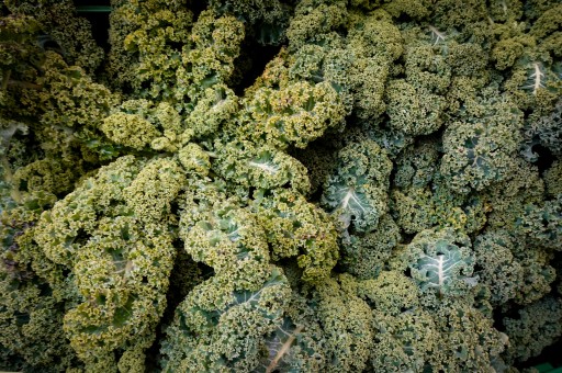 SAĞLIKLI BESLENME YOLLARI: VEJETARYEN DİYET NEDİR?