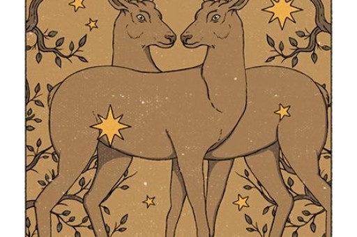 14-20 Temmuz Haftalık İkizler Burcu Yorumu