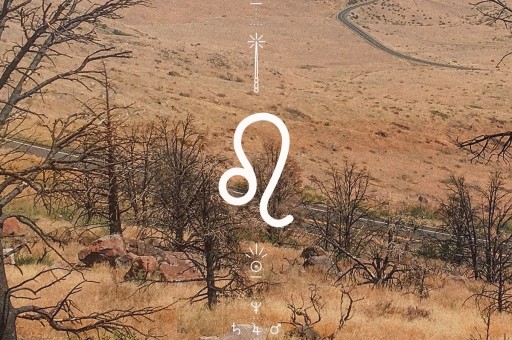 25 – 31 Ağustos 2025 Haftalık Aslan Burcu Yorumu