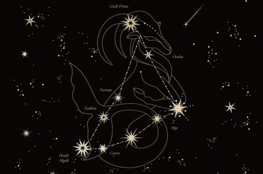 29 Eylül – 5 Ekim 2025 Haftalık Oğlak Burcu Yorumu