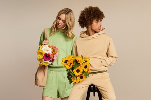 Sneaks Up: Ayaklarınıza Tarz ve Konfor Getirin