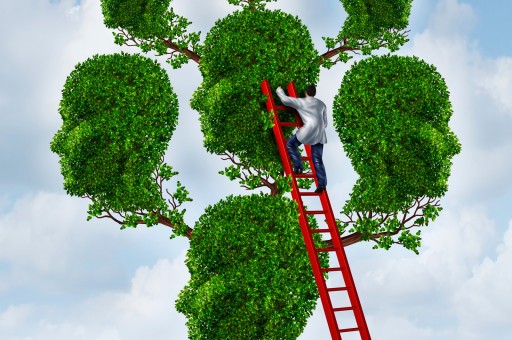 Aile Dizimiyle Geçmişin İzlerinden Kurtulmak Mümkün!