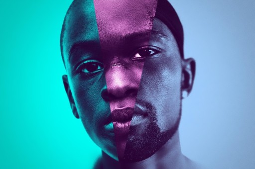 Haftanın Etkinlikleri