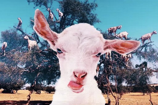 İf te Bu Filmleri Kaçırmayın