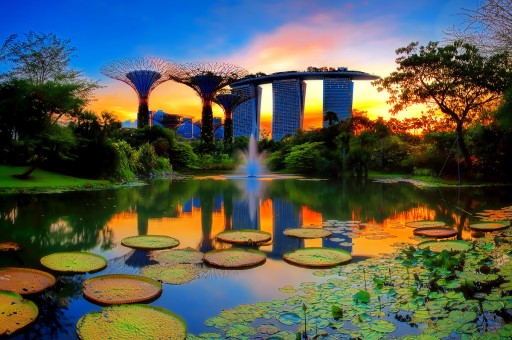 Gezginlerin Yeni Gözdesi: Flora Turizmi