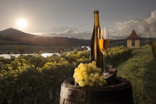 Türkiye’nin Şarap Haritası