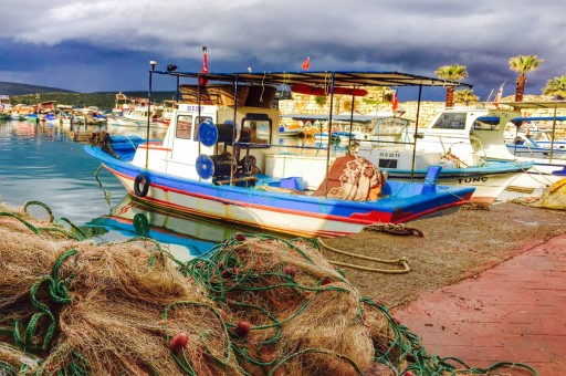 “Yavaş Şehir” Sığacık’ta Bir Pazar