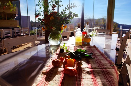 Türkiye’nin Ekolojik Tatil Rotaları