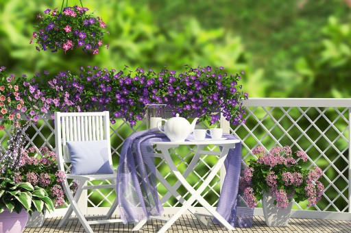 Bahçelerde Rengarenk Yaz Keyfi