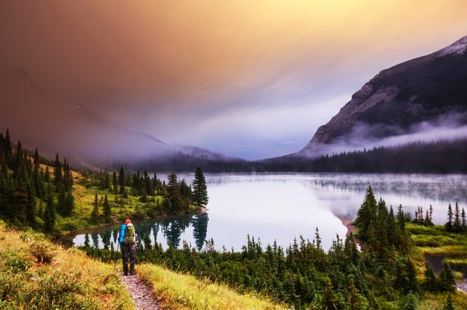 Beyin Egzersizinde Yeni Trend: Parklarda Yürümek