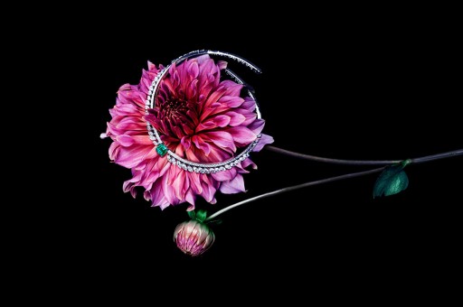 Işıldayan Mücevherlerin Büyülü Dünyası