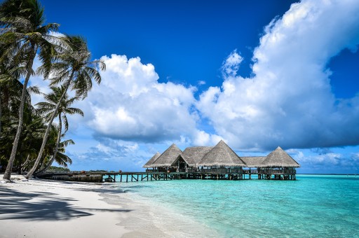 Yeni Yılı Lüks ve Konfor İçinde Karşılayın