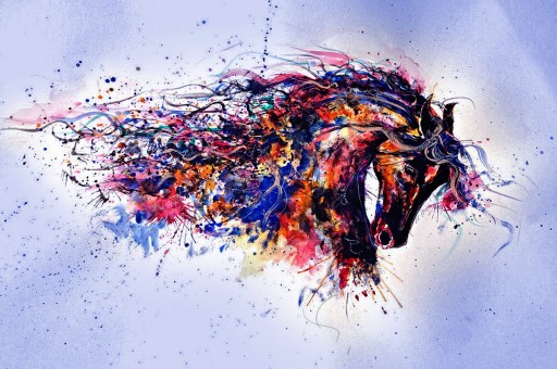 Vahşi Yaşamın Renkli Hayvanları