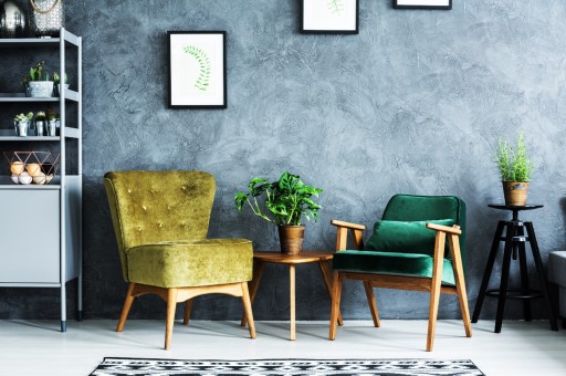 Havayı Temizleyen Mucizevi Bitkiler