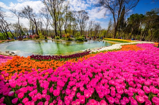 İstanbul’un Huzurlu Yürüyüş Rotaları