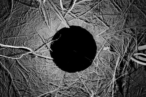 Haftanın Etkinlikleri