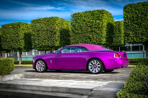 Rengini Çiçekten Alan Rolls-Royce