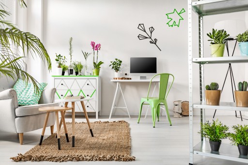 Hayatınızı Kondo layın