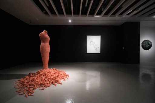 Haftanın Etkinlikleri