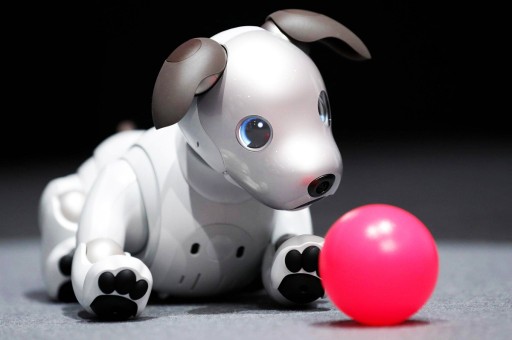 Yardımsever Robotlar Kapıda