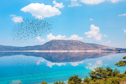 Bu İki Doğa Cennetini Hala Keşfetmediniz Mi?