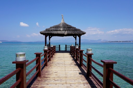 Bu Yazın Yıldızları