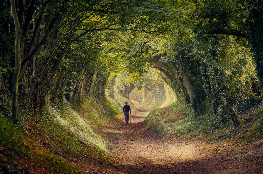 Bu Tünellerde Büyülenmeye Hazır Olun