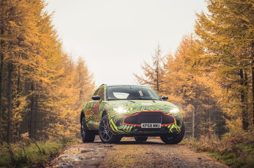 Aston Martin Kamuflaja Büründü