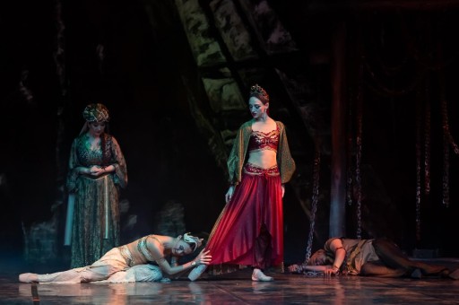 Haftanın Etkinlikleri