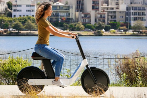 Sadeliğin Estetiği