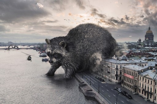 Şehirlerin Yeni Sakinleri