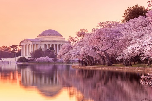 Koltuğunuzdan Kalkmadan Dünyayı Gezin