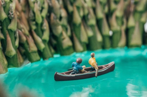 Minyatür Doğa Manzaraları