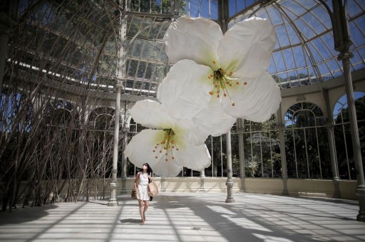 Camdan Sarayda Açan Dev Çiçekler