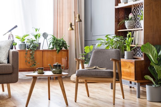 Trend Alarmı: Biyofilik Dekorasyon