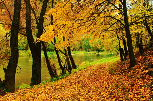 Sonbaharın En Renkli Rotaları