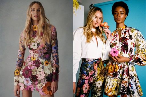 Taptaze Bahar Çiçekleri