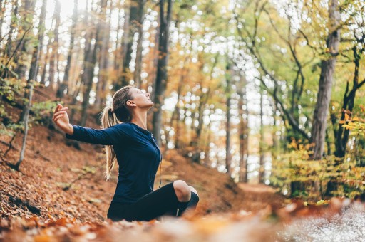 Sonbaharda Yenilenin