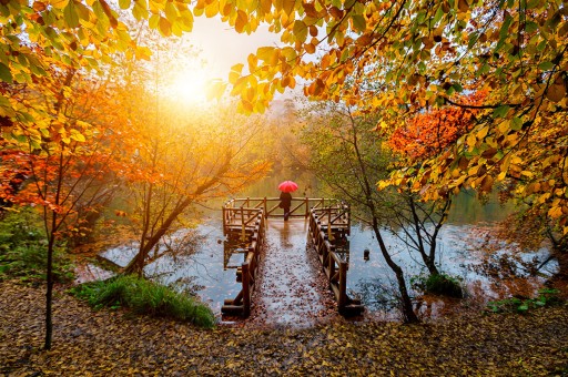 En Güzel Sonbahar Rotaları