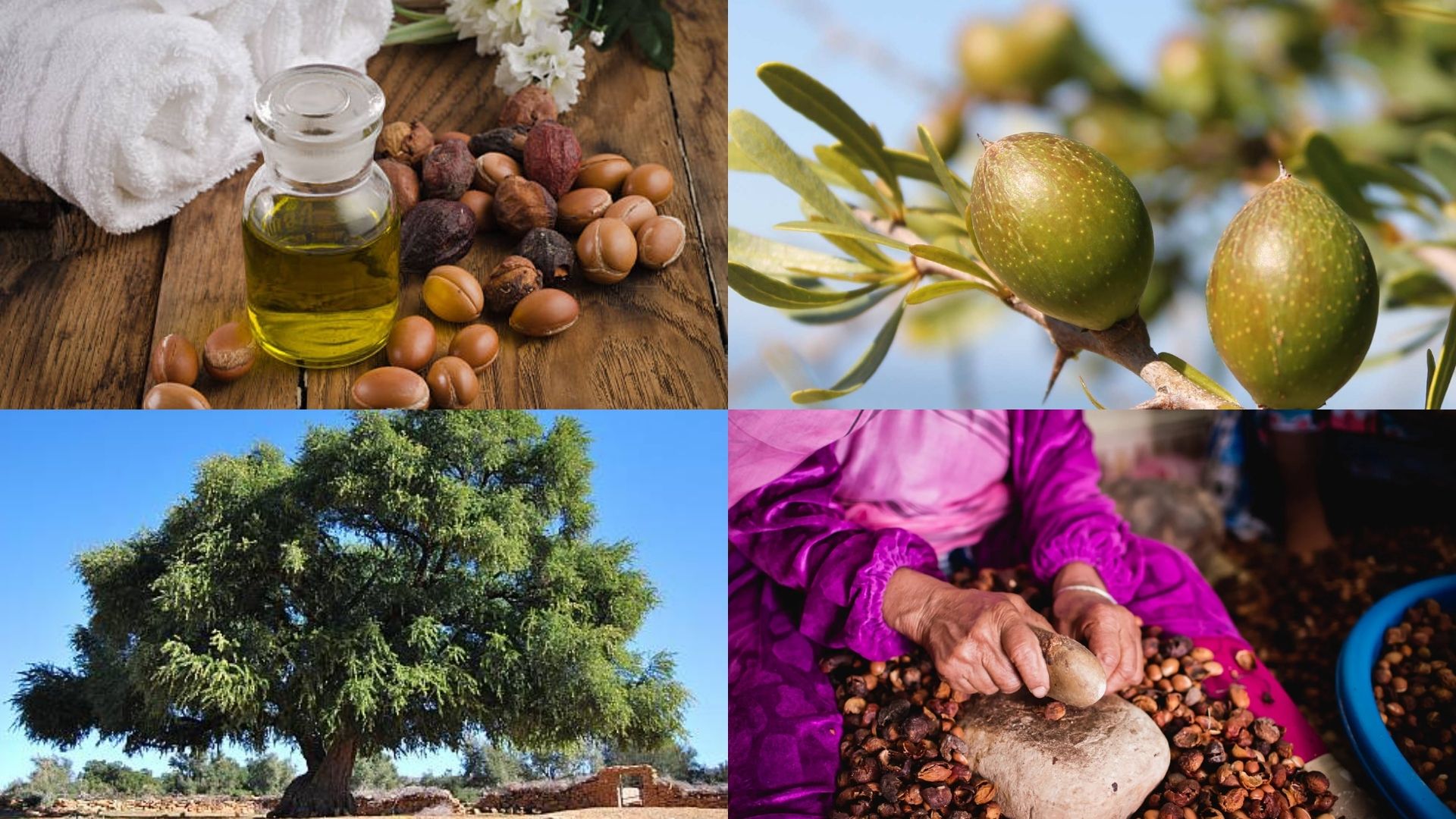 DOĞANIN ŞİFALI DOKUNUŞU: ARGAN YAĞININ MUCİZESİ