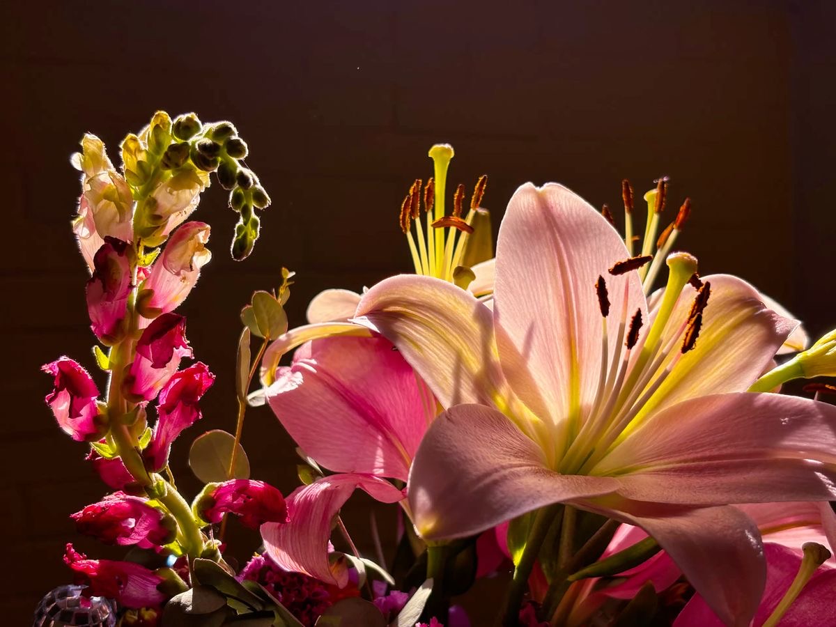 UZUN ÖMÜRLÜ YAZ ÇİÇEKLERİ