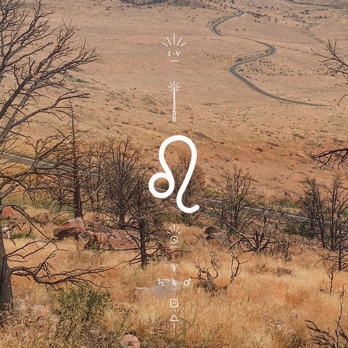 25 – 31 Ağustos 2025 Haftalık Aslan Burcu Yorumu