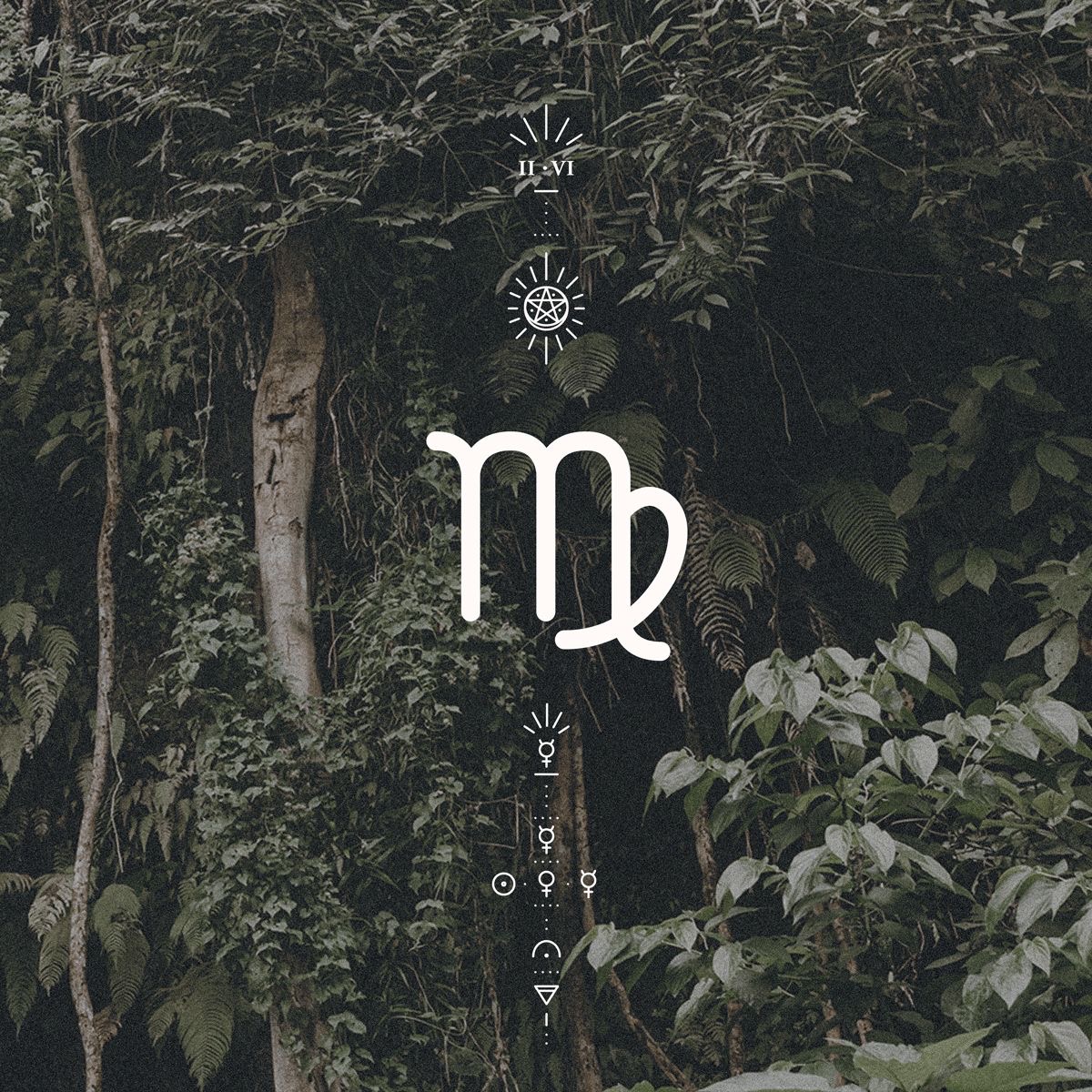 25 – 31 Ağustos 2025 Haftalık Başak Burcu Yorumu