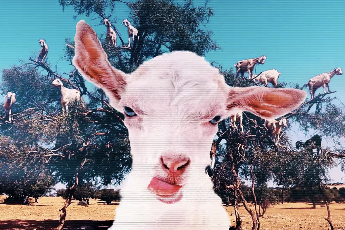 İf te Bu Filmleri Kaçırmayın