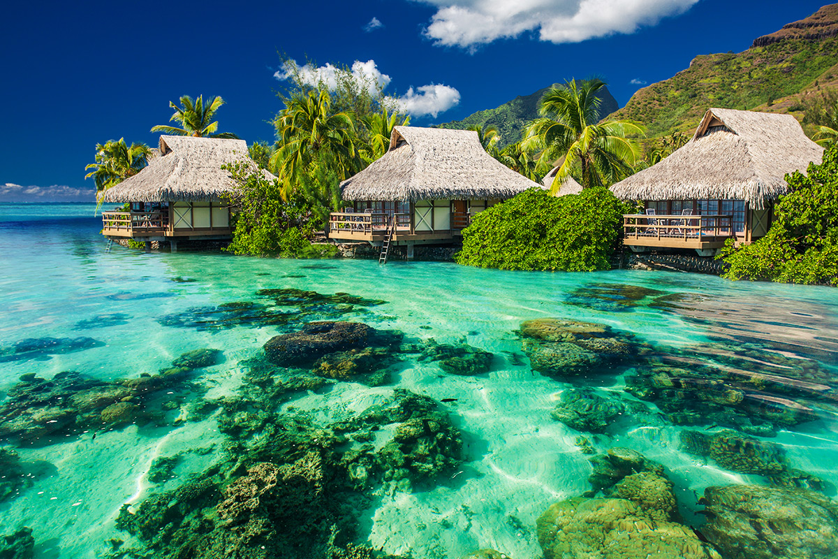 Aşk ve Seyahat Bir Arada