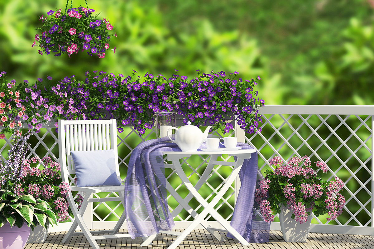 Bahçelerde Rengarenk Yaz Keyfi