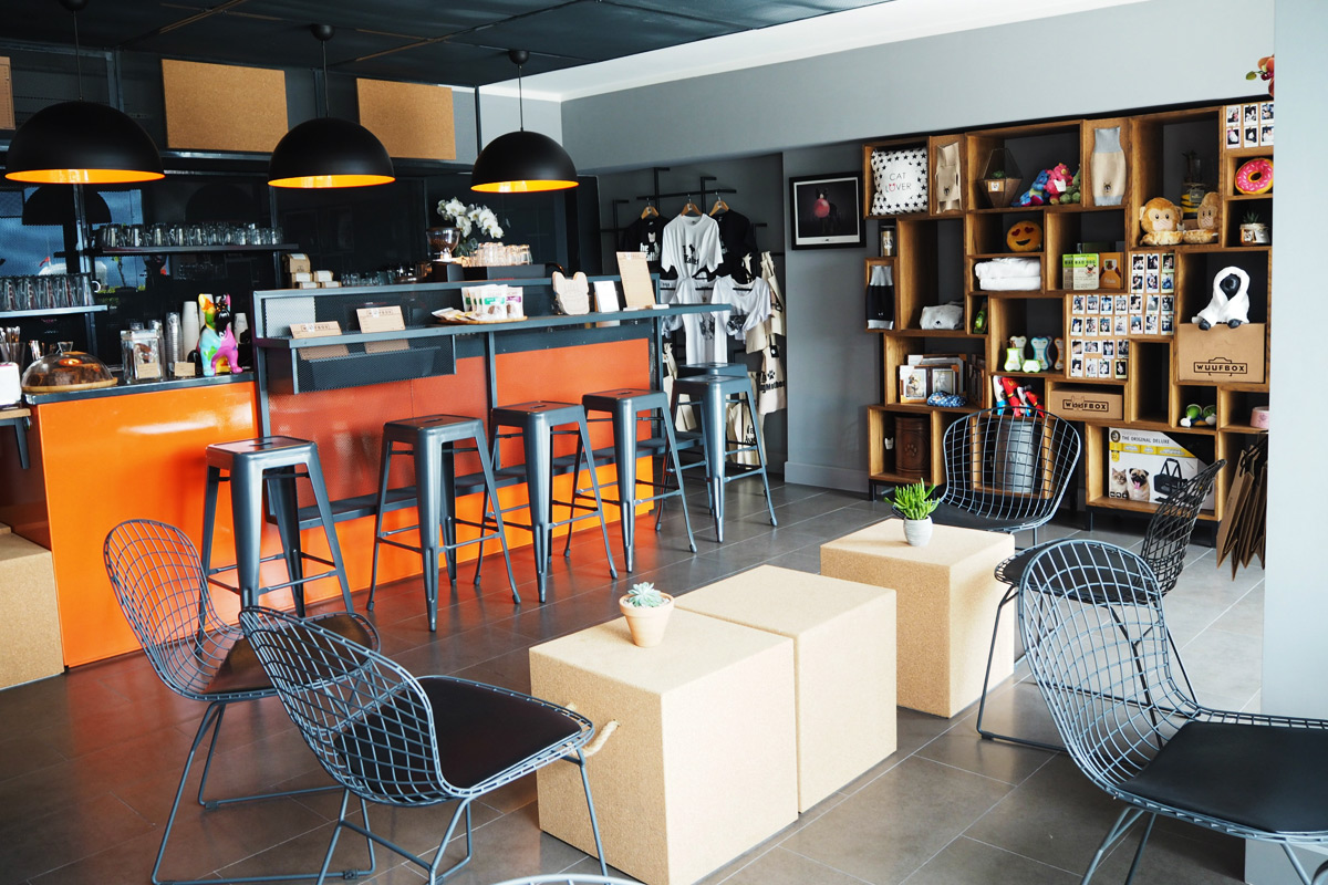 Hayvan Dostu Wuufbox’la Tanışın