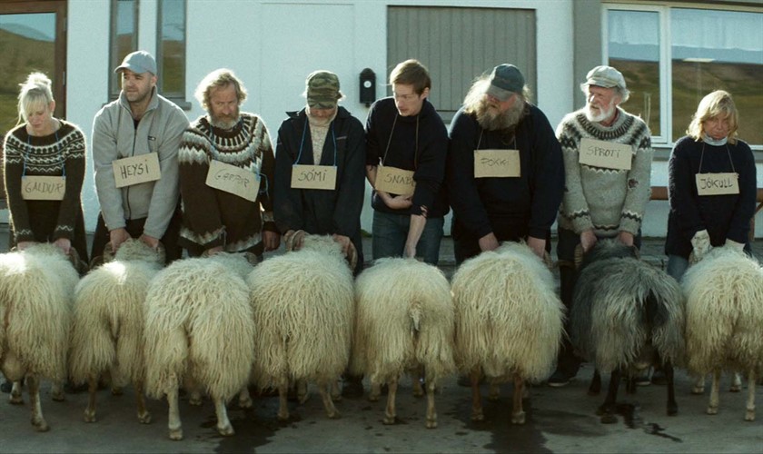 rams_840x500